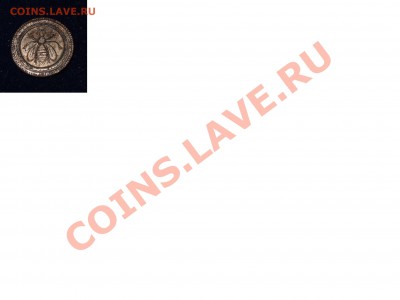 Что за муха??? Опознайте и оцените? - Безымянный1.JPG