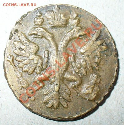 Вопрос по денге 1731, бронза??? - Денга 1731-13_.JPG