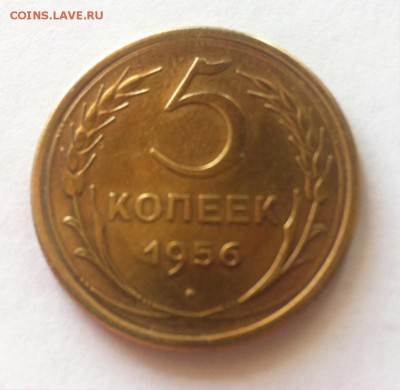 5 копеек 1956г. до 12.06.16г. - 556.JPG
