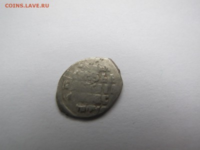 Чешуя определение и оценка - IMG_9389.JPG