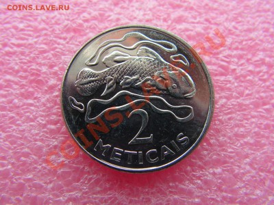 -Мозамбик- 2 метикаль 2006(рыба) -- 19,11 22-00 - PICT0702.JPG