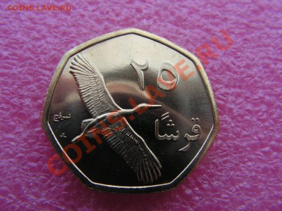 -Палестина- 0,25 динара 2010(фауна) -- 19,11 22-00 - PICT0710.JPG