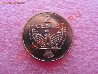 -Соломоновы- 2 цент 2005(фауна) -- 19,11 22-00 - PICT0725.JPG