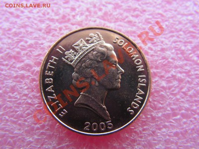 -Соломоновы- 2 цент 2005(фауна) -- 19,11 22-00 - PICT0724.JPG