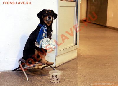 РФПЛ 2009! - 149830