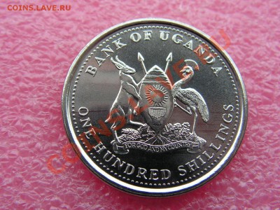 -Уганда- 100 шиллинг 2008(фауна) -- 19,11 22-00 - PICT0771.JPG