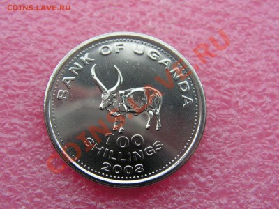 -Уганда- 100 шиллинг 2008(фауна) -- 19,11 22-00 - PICT0770.JPG
