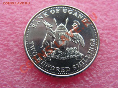 -Уганда- 200 шиллинг 2008(рыба) -- 19,11 22-00 - PICT0773.JPG