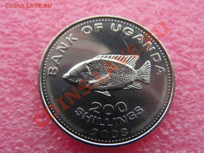 -Уганда- 200 шиллинг 2008(рыба) -- 19,11 22-00 - PICT0772.JPG