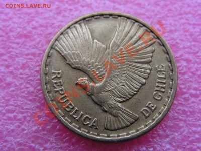 -Чили- 10 чентесимо 1969(фауна) -- 19,11 22-00 - PICT0774.JPG