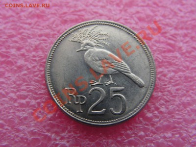 -Индонезия- 25 рупия 1971(фауна) -- 19,11 22-00 - PICT0778.JPG