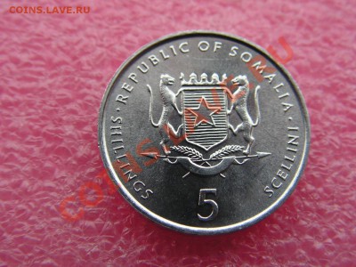 -Сомали- 5 шиллинг 2002(фао-фауна) -- 19,11 22-00 - PICT0781.JPG