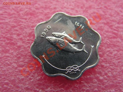 -Мальдивы- 5 лаари 1990(рыба) -- 19,11 22-00 - PICT0783.JPG