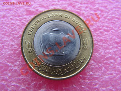 -БМ-Судан- 20 пиастр 2006(фауна) -- 19,11 22-00 - PICT0739.JPG