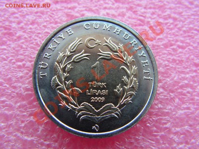 -БМ-Турция- 1 лира 2009(черепаха) -- 19,11 22-00 - PICT0740.JPG