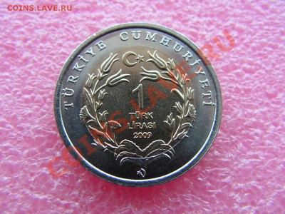 -БМ-Турция- 1 лира 2009(слоны) -- 19,11 22-00 - PICT0743.JPG