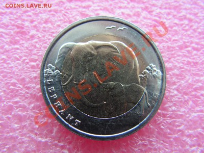 -БМ-Турция- 1 лира 2009(слоны) -- 19,11 22-00 - PICT0742.JPG