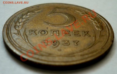 5 Копеек 1937 год. До 21.11.10 в 22.00 Мск. - P1010537.JPG