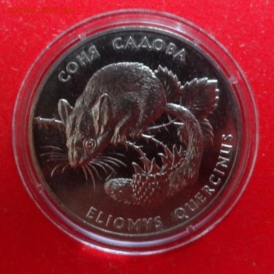Украина 1999 Фауна - Соня садовая до 11.06.2016г 22-00 - DSC09087.JPG