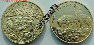 Польша-США-КАНАДА-19-20-РОССИЯ-Португалия-Казахстан - poland_animals_1998-1999