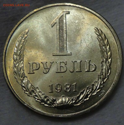 Куплю мешковые годовики 65 68 69 79 80 81 82 - DSC08988.JPG