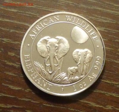 СОМАЛИ - ТРИ СЛОНА 2014 унцовка до 14.06, 22.00 - Сомали три слона под луной