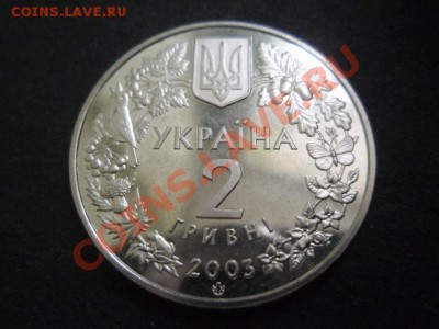 Украина 2 гривны 2003 Зубр до 18.11 в 21.00 М - PB155848.JPG