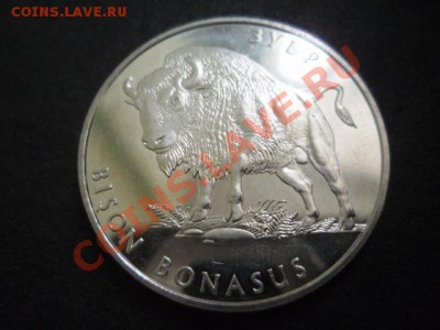 Украина 2 гривны 2003 Зубр до 18.11 в 21.00 М - PB155847.JPG