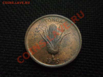 ФАО  Тонга 1 сенити 1975 Свиноматка  до 18.11 в 21.00 М - PB155896.JPG