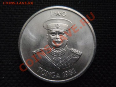 ФАО  Тонга 10 сенити 1981 Фрукт  до 18.11 в 21.00 М - PB155869.JPG
