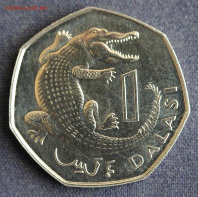 С 1 руб. ГАМБИЯ 1 DALASI 1998г. КРОКОДИЛ UNC до 15.06 в 22-0 - IMG_1966.JPG