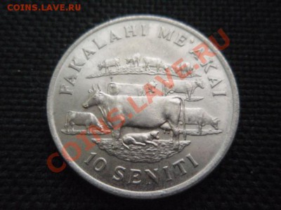 ФАО  Тонга 10 сенити 1975 Коровы  до 18.11 в 21.00 М - PB155867.JPG
