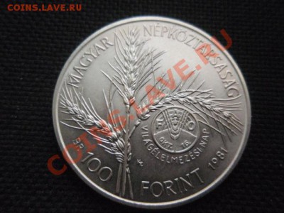 ФАО  Венгрия 100 форинтов 1981  до 18.11 в 21.00 М - PB155807.JPG