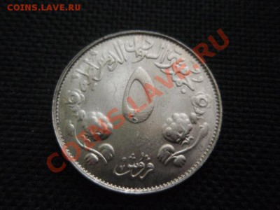 ФАО  Судан 5 гирш 1976  до 18.11 в 21.00 М - PB155881.JPG