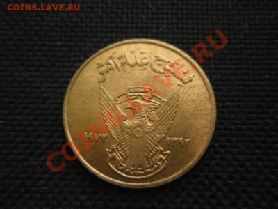 ФАО  Судан 5 миллим 1972  до 18.11 в 21.00 М - PB155914.JPG