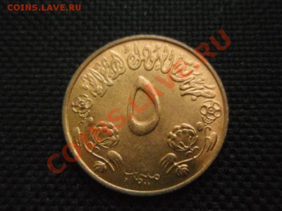 ФАО  Судан 5 миллим 1972  до 18.11 в 21.00 М - PB155915.JPG