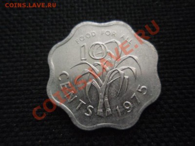 ФАО  Свазиленд 10 центов 1975  до 18.11 в 21.00 М - PB155883.JPG