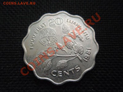 ФАО  Свазиленд 20 центов 1981  до 18.11 в 21.00 М - PB155886.JPG