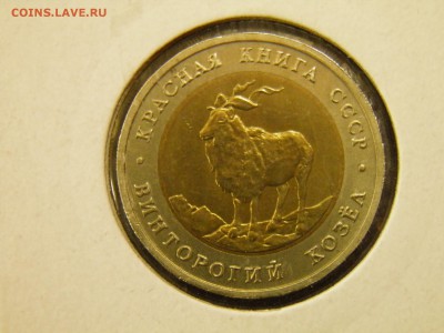 Красная Книга 2шт. 1991 г. до 12.06.16 22-00 Мск - P6030293.JPG