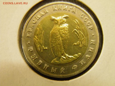 Красная Книга 2шт. 1991 г. до 12.06.16 22-00 Мск - P6030295.JPG