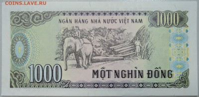 ВЬЕТНАМ - 1000 донгов 1988 г. пресс до 15.06 в 22.00 - DSCN5228.JPG