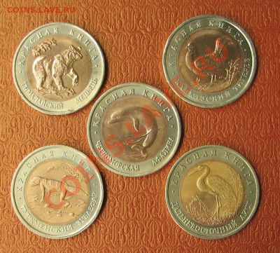 Красная книга, 50 рублей, 5шт. 1993г. - IMG_9715