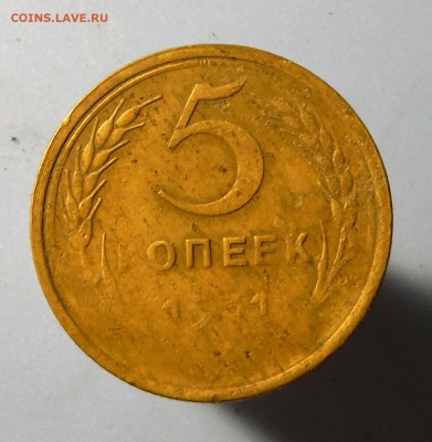 Бонус - DSCF4173.JPG