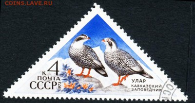 Коллекция по нескольким темам на оценку - 0 (91)