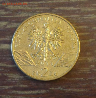 ПОЛЬША - 2 зл. БАРСУК до 17.06, 22.00 - Польша 2 зл 2011 Барсук