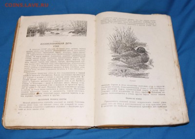 Четыре книги для охотника, 50е гг до 12.06 - Изображение 033