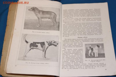 Четыре книги для охотника, 50е гг до 12.06 - Изображение 044