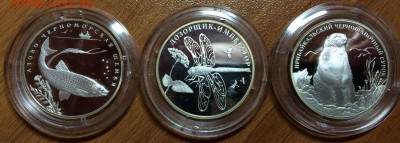 Серебро. Серия "Красная книга" 1994, 2005 и 2008 года Оценка - IMG_0099.JPG