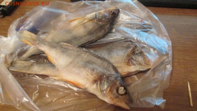 делает - прямо сейчас !!! - IMG_3387.JPG