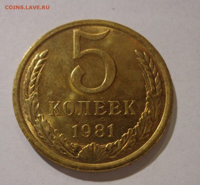 5 коп. 1981 г. - DSC01435.JPG